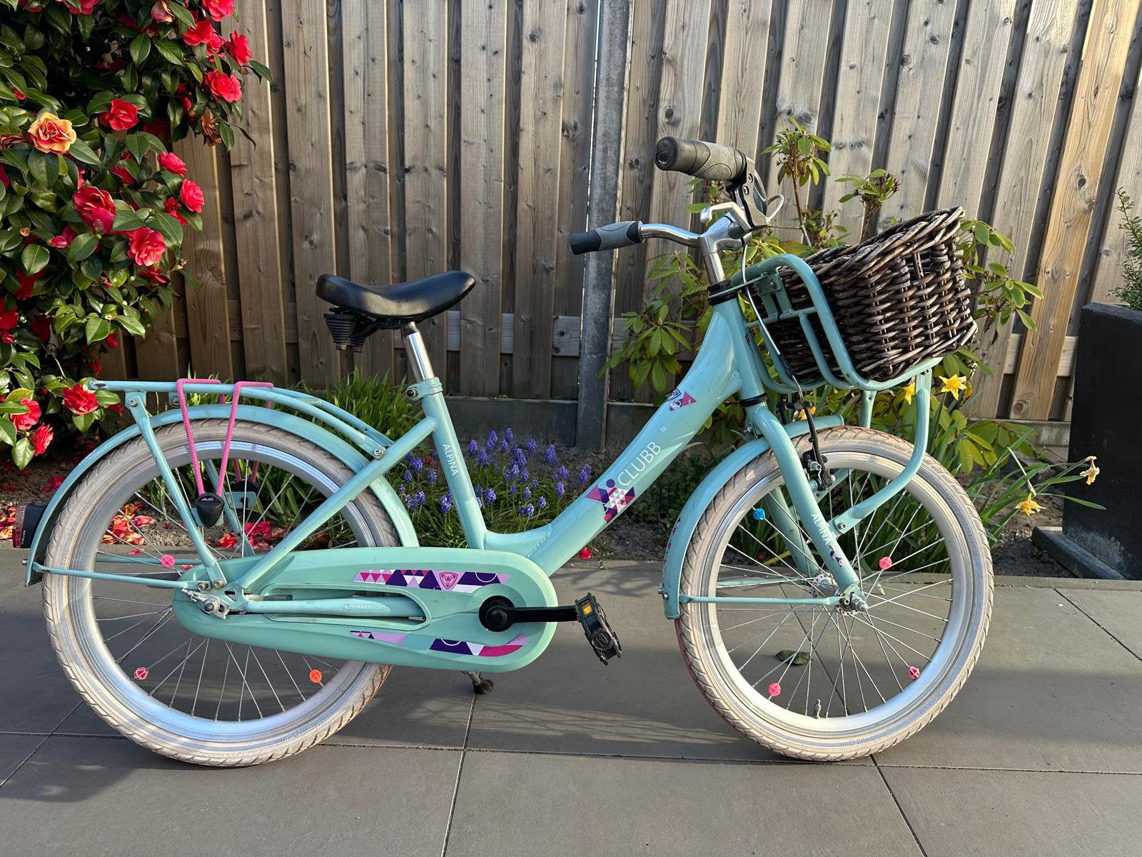 Alpina clubb 20 inch meisjesfiets, Ophalen, Gebruikt, 20 inch, Handrem