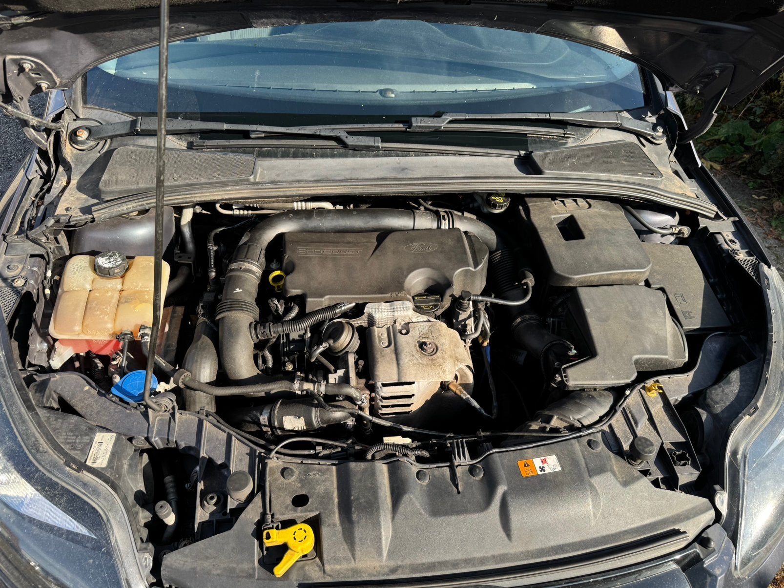 Ford focus 1.0 101pk