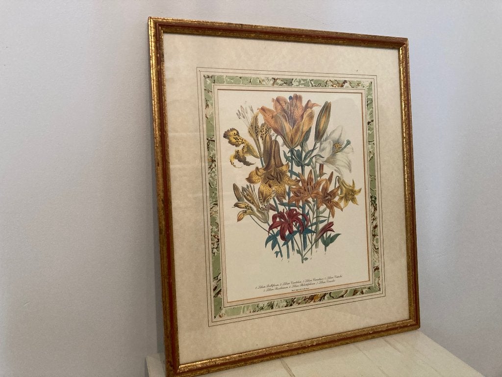 Professioneel ingelijste botanische print van Day & Hague, Bloemen, Ophalen of Verzenden, Print, Papier