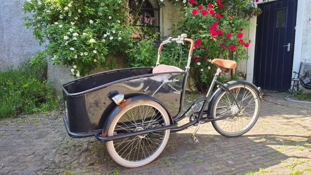 Johnny Loco bakfiets - Nieuwe banden, inclusief hoes, Ophalen, Gebruikt, 2 kinderen, Johnny Loco