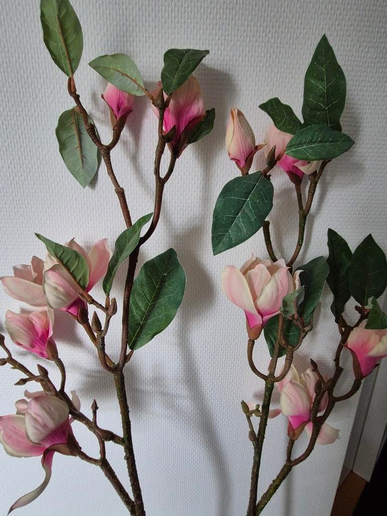 2 grote magnolia takken, Ophalen of Verzenden, Zo goed als nieuw