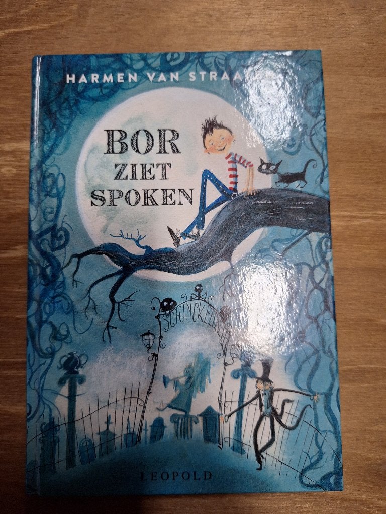 Boek - Bor ziet Spoken, Boeken, Ophalen, Zo goed als nieuw, Fictie algemeen
