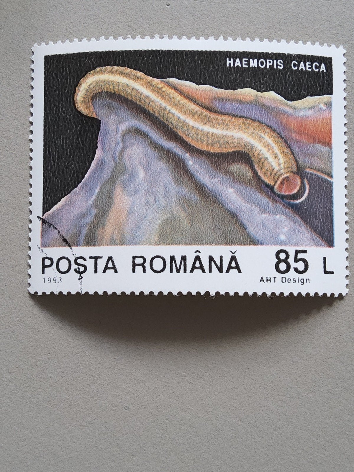 Roemeense postzegel 1993 - Haemopis Caeca (Bloedzuiger), Postzegels en Munten, Verzenden