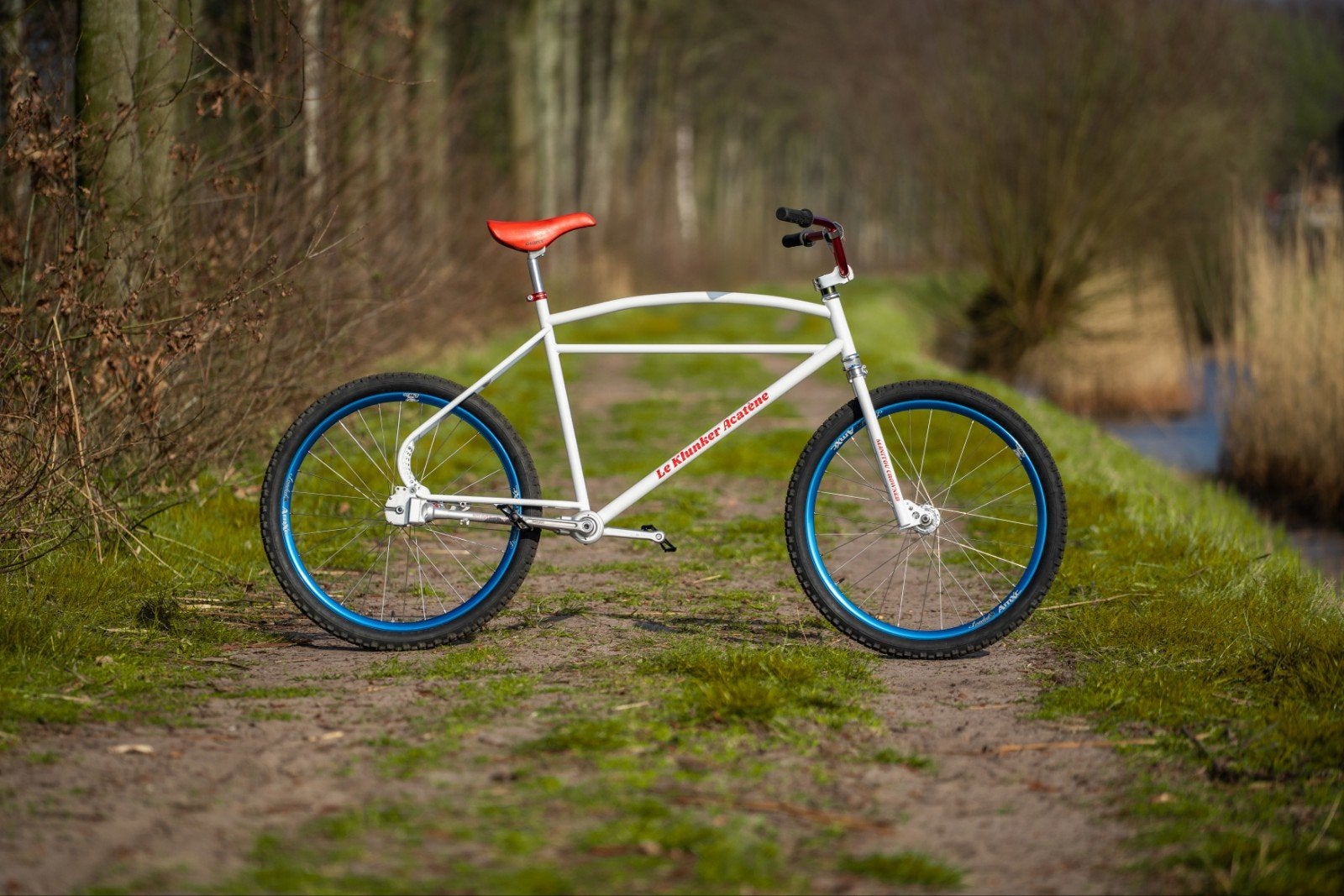 Klunker / Vintage mountainbike met Cardan, Fietsen en Brommers, Fietsen | Mountainbikes en ATB, Overige merken, Terugtraprem, Nieuw