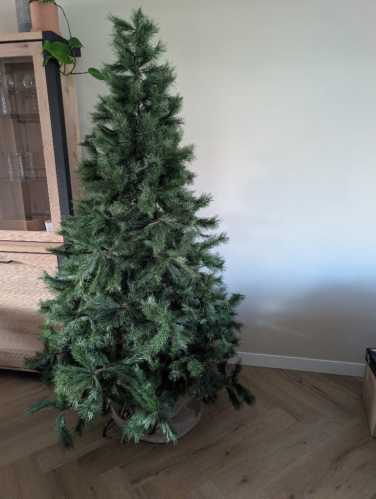 Kerstboom, Ophalen, Zo goed als nieuw