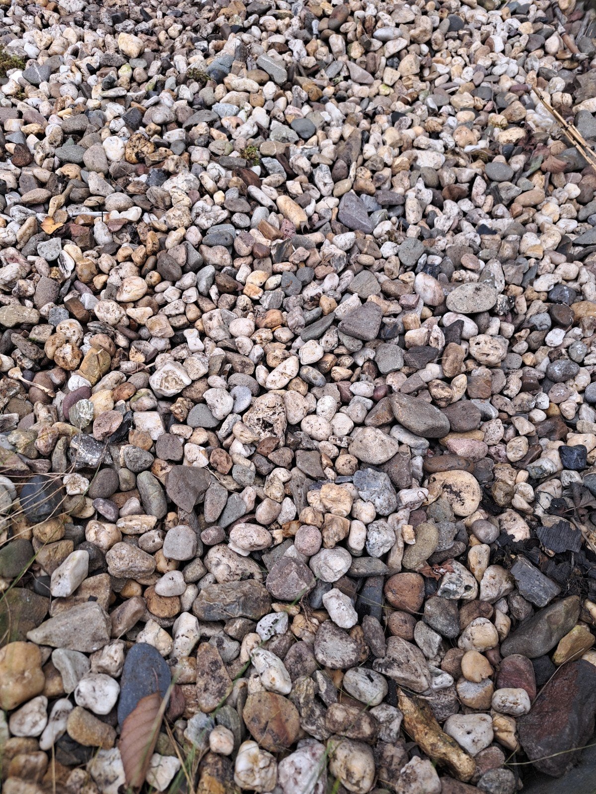 Decoratief Siergrind voor Tuin of Oprit, Ophalen, Gebruikt, Multi, Grind