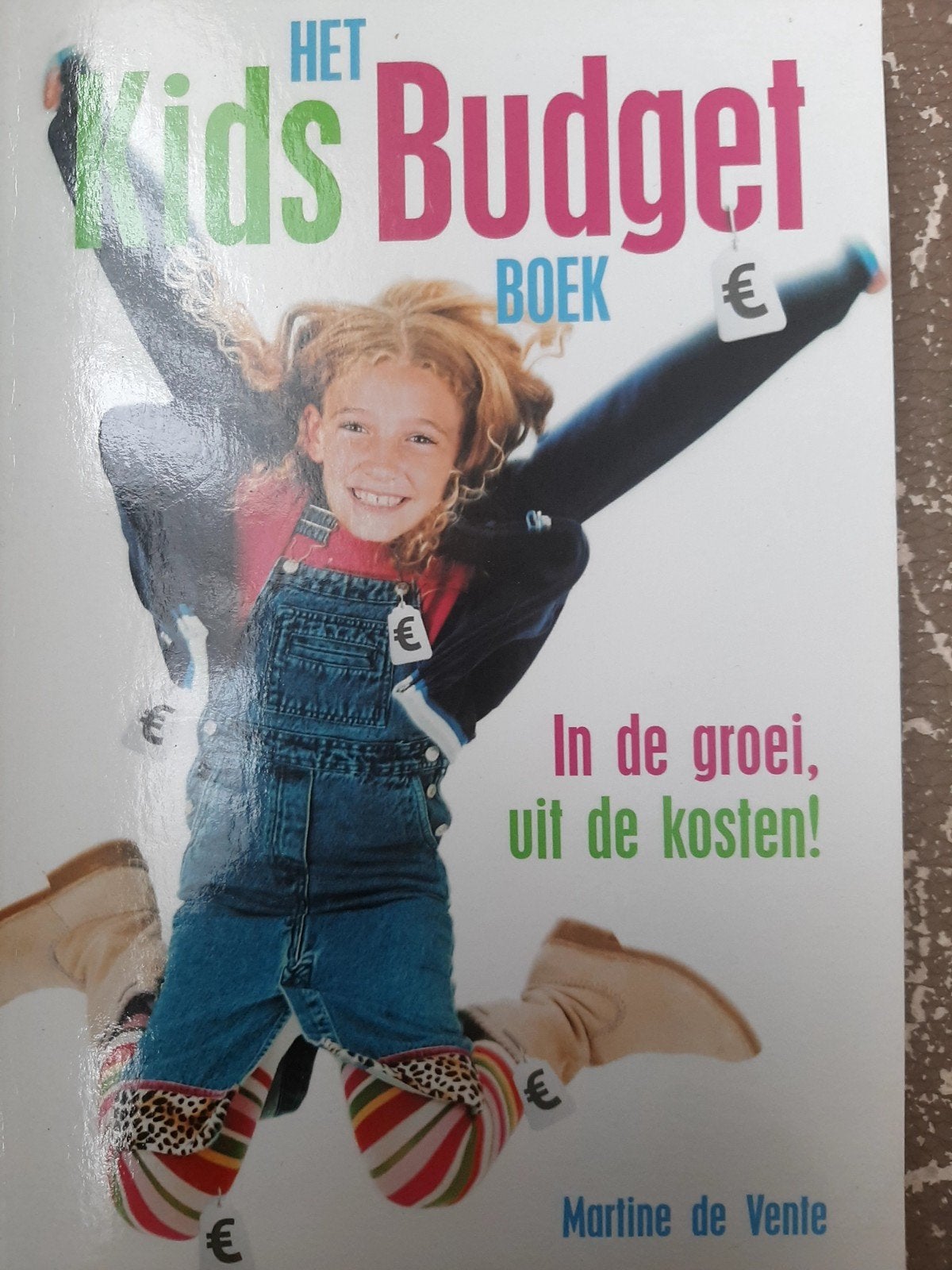 Het Kids Budget Boek: In de groei, uit de kosten!, Ophalen of Verzenden, Gelezen, Martine de Vente