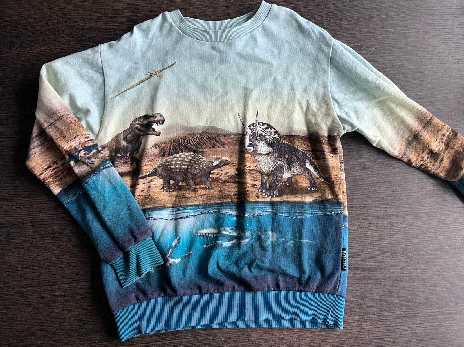 Molo sweater maat 152, Kinderen en Baby's, Ophalen of Verzenden, Zo goed als nieuw, Jongen, Trui of Vest