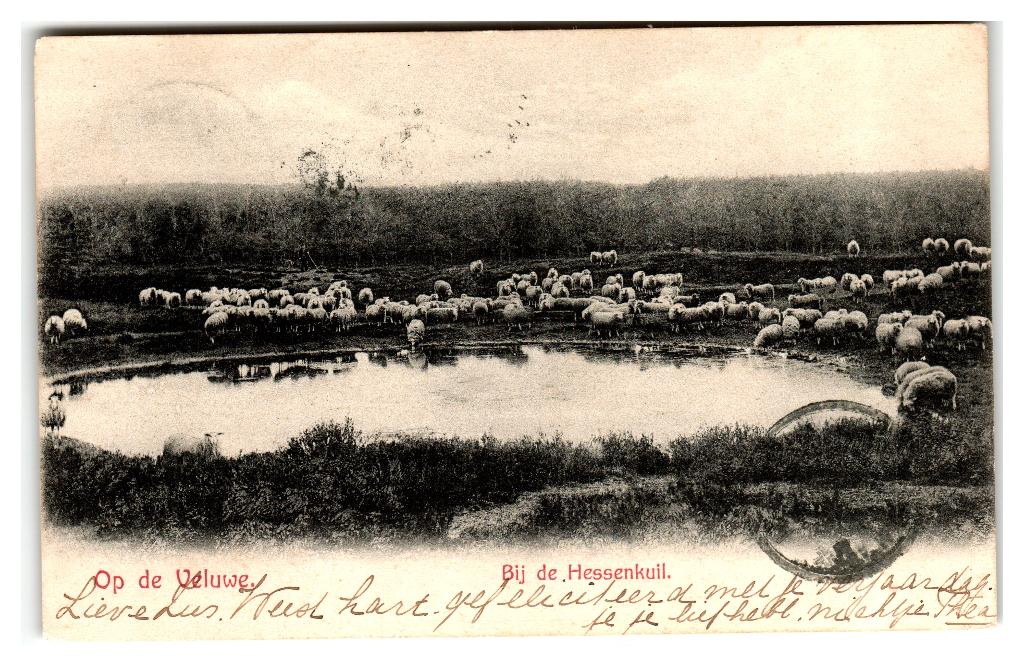 Veluwe, Bij de Hessenkuil, Verzenden, Voor 1920, Gelopen, Gelderland