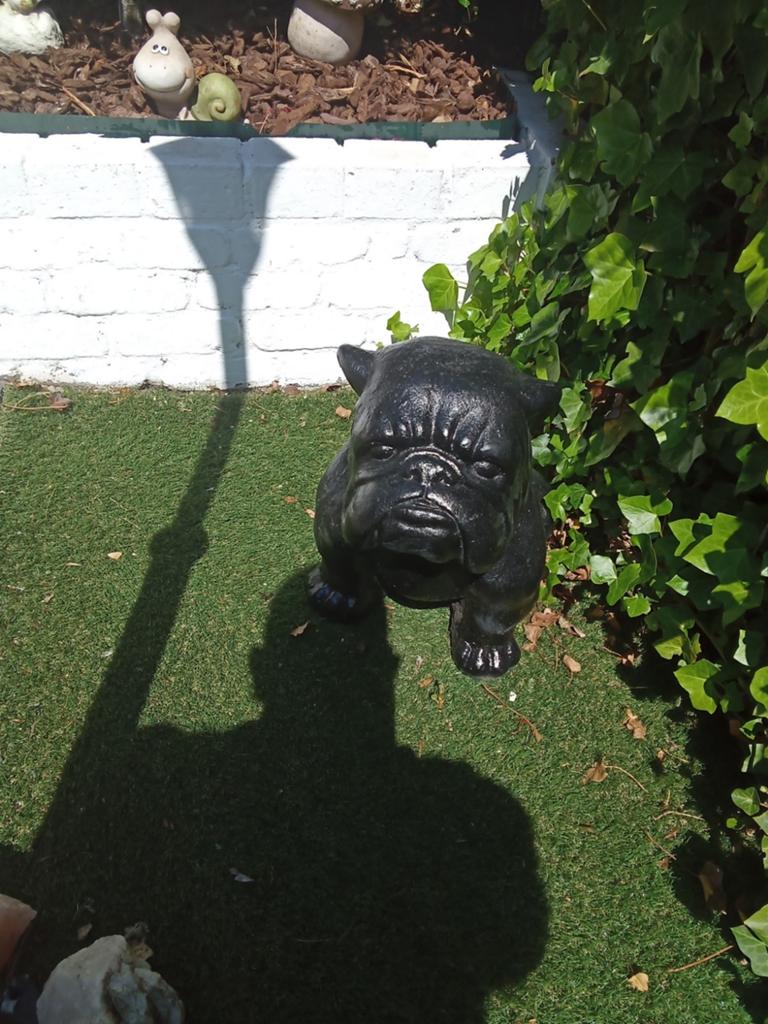 Mooie grote bulldog polyester, Ophalen of Verzenden, Kunststof