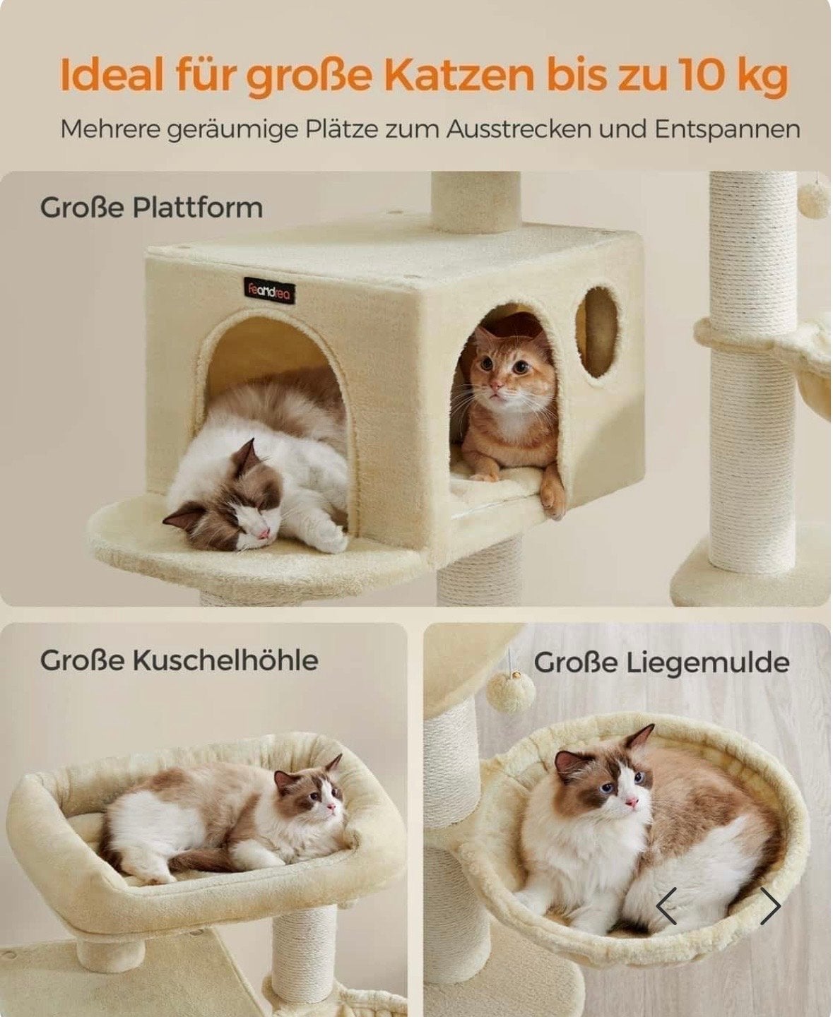 Katten Krabpaal XXL – Klimboom met Hangmat en Mand, Ophalen of Verzenden