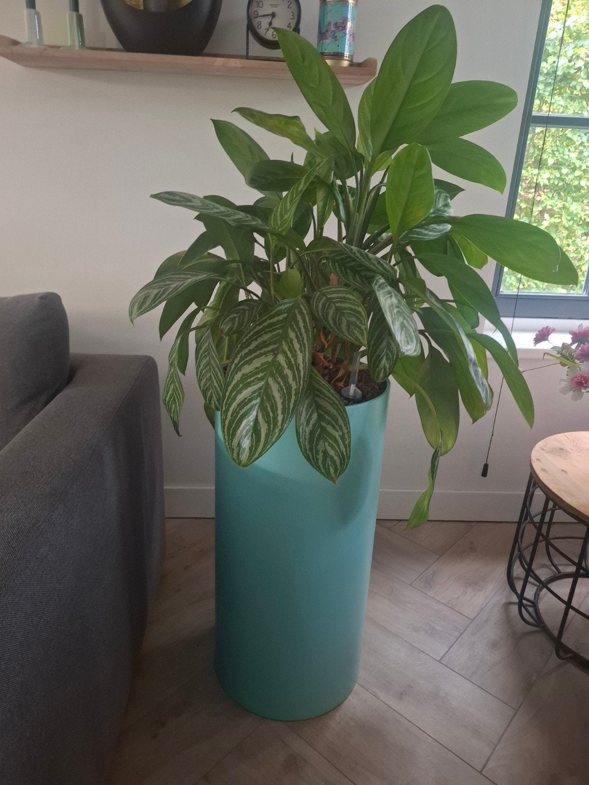 Turquoise bloempot (2x te koop zonder de plant), Tuin en Terras, Kunststof, Rond, Binnen, Zo goed als nieuw
