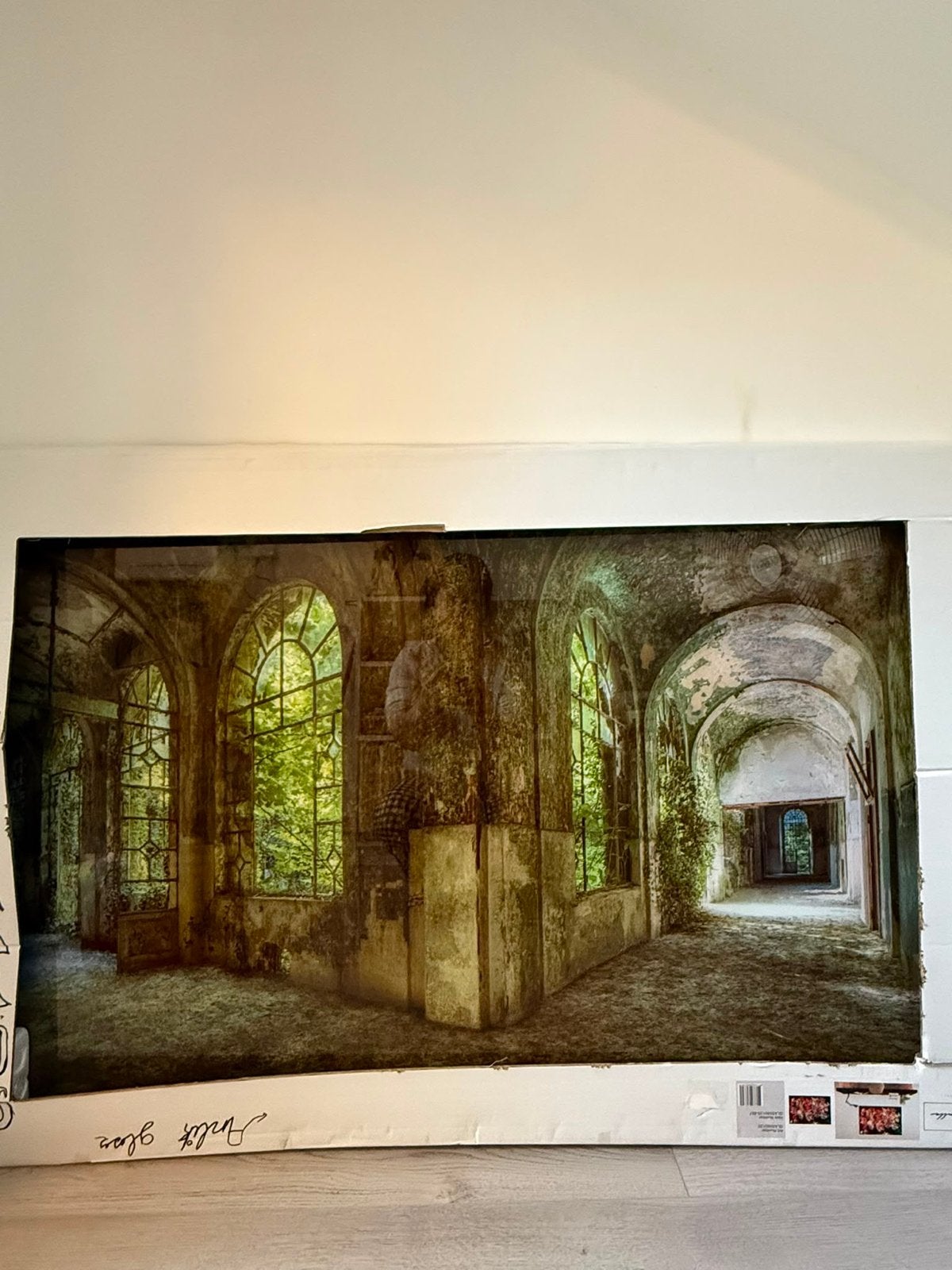 Prachtige Glazen Plaat met Ruïne Afbeelding, Huis en Inrichting, Woonaccessoires | Schilderijen, Tekeningen en Foto's, Ophalen