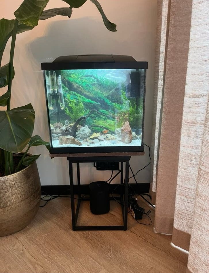 Aquarium superfish start 50, Dieren en Toebehoren, Vissen | Aquaria en Toebehoren, Gebruikt, Superfish, Info@superfish.nl, Ophalen of Verzenden