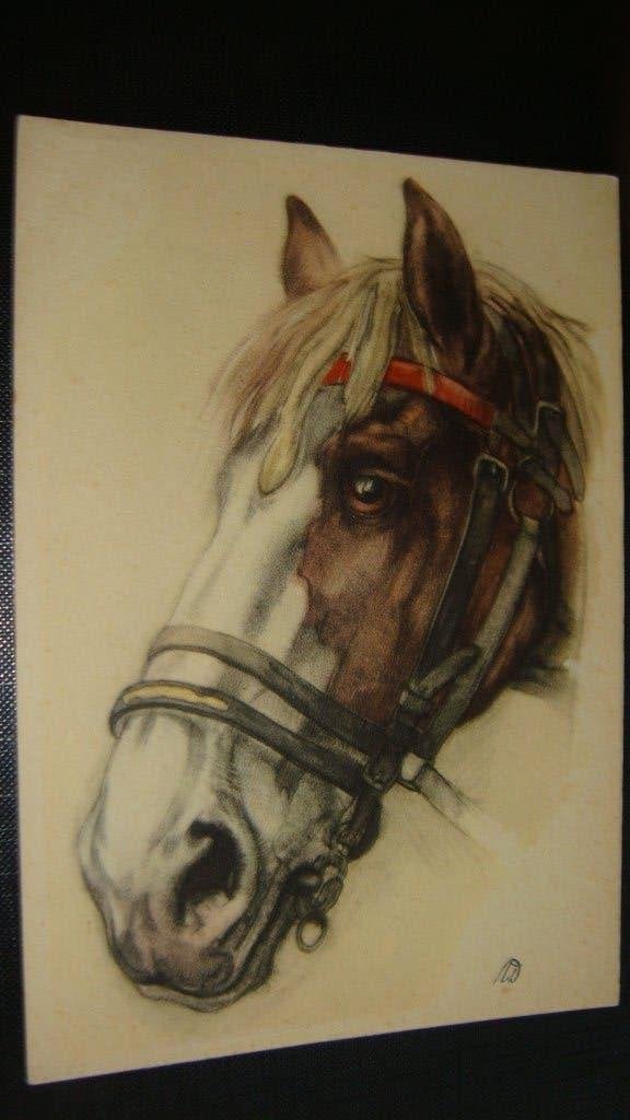 Paard, Ophalen of Verzenden, 1980 tot heden, Ongelopen, Overige thema's