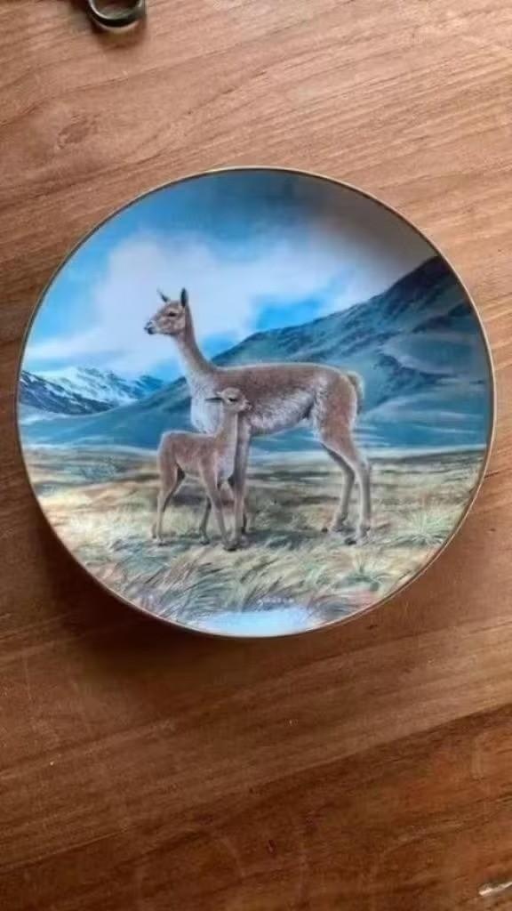 Wandbord : Will Nelson - lama : serie bedreigde diersoorten, Ophalen of Verzenden