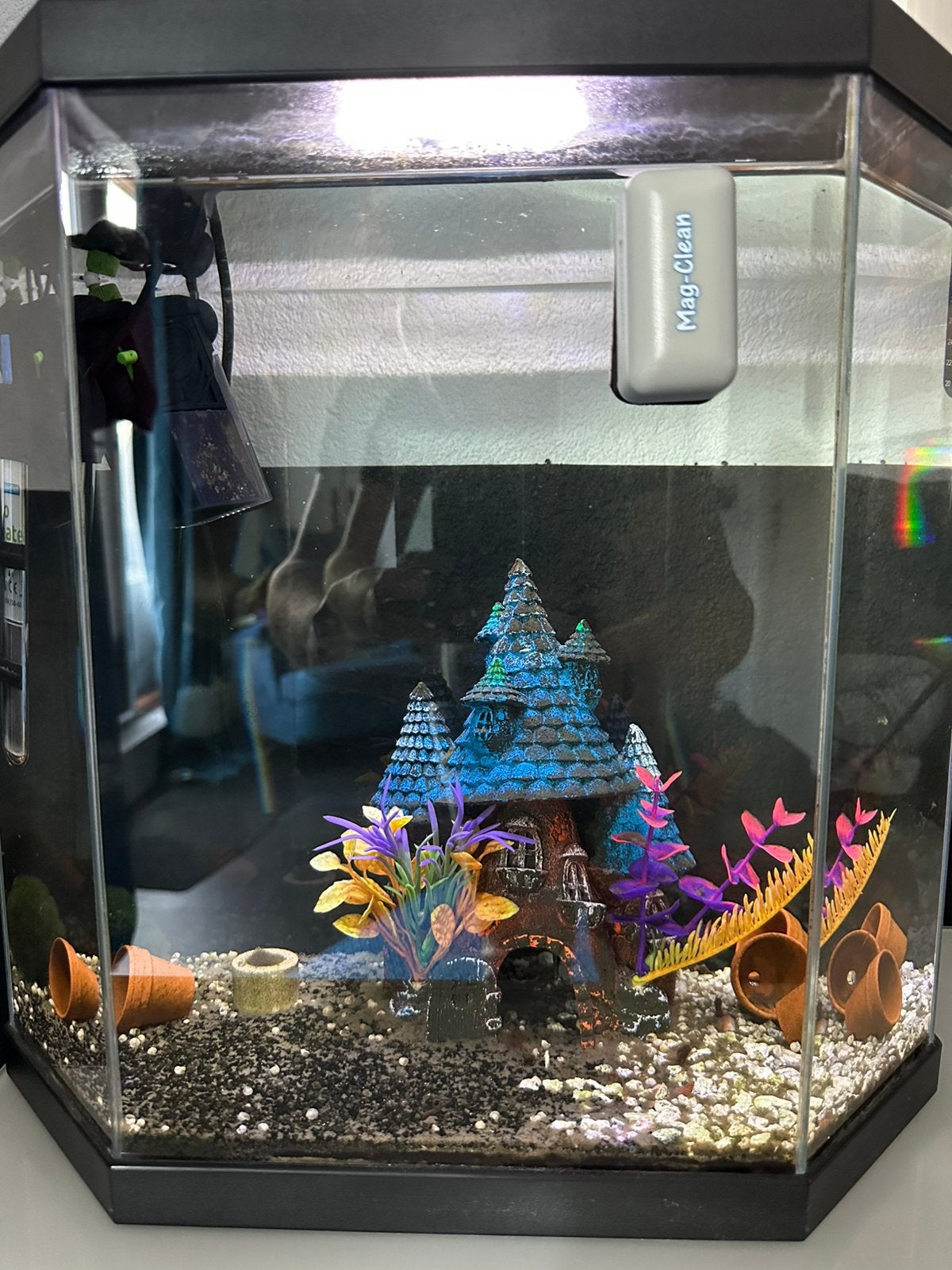 Complete aquarium, Ophalen, Verwarming, Zo goed als nieuw, Leeg aquarium