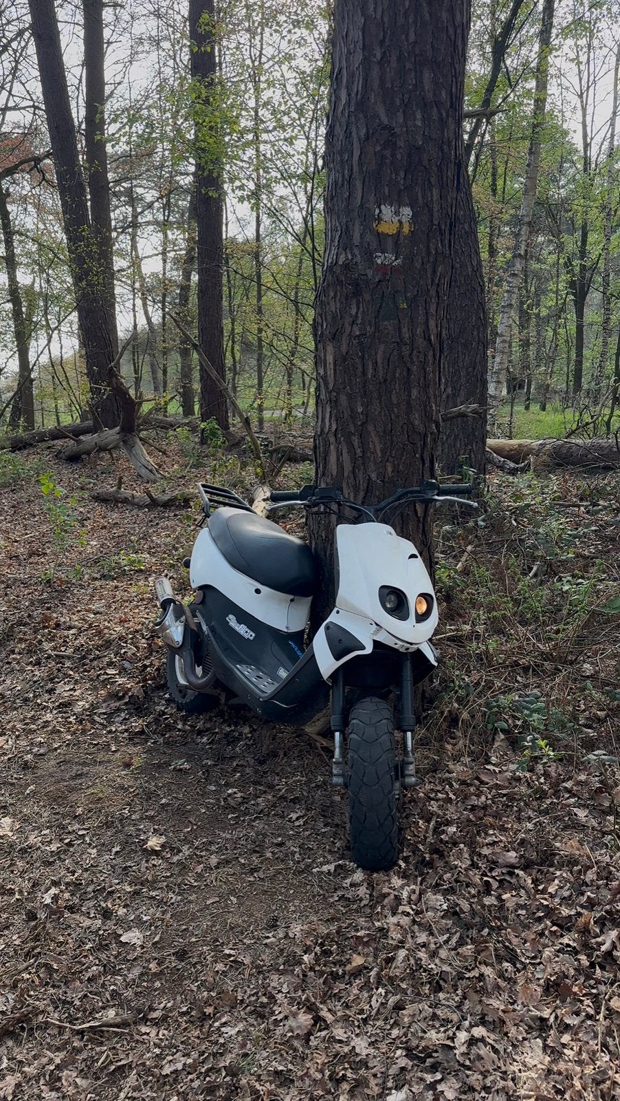 Peugeot TKR Road, Ophalen, Gebruikt, Overige modellen, Maximaal 45 km/u