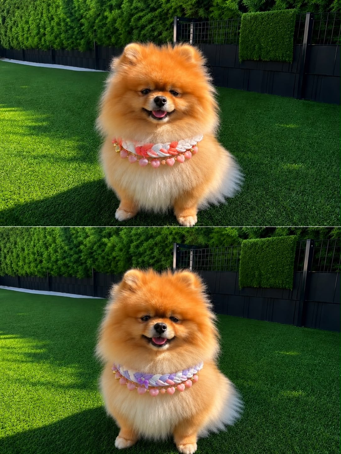 Honden sjaaltjes met ketting, Dieren en Toebehoren, Ophalen of Verzenden, Nieuw