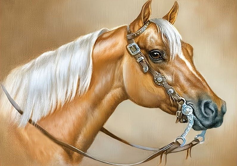 50x40cm Diamond Painting paard (rond) nr 101, Nieuw, Ophalen of Verzenden, Bruin, Educatief