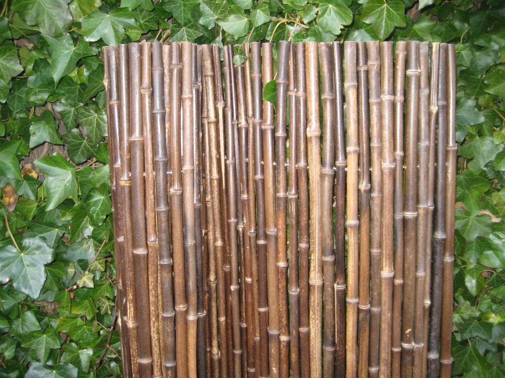 Bamboerolscherm zwart 180 x 180 cm, Tuin en Terras, Schuttingen, Ophalen, 1 tot 2 meter, Minder dan 3 meter, Nieuw