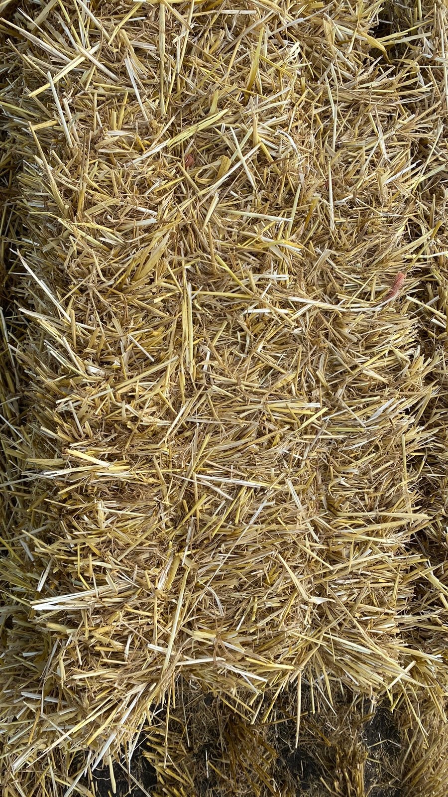 Kleine pakjes Stro, Dieren en Toebehoren, Ophalen, Vee