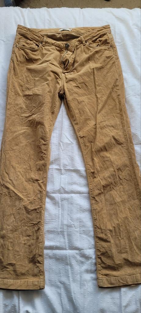 Rib, corduroy  broek van sissyboy xl, Bruin, Maat 46/48 (XL) of groter, Ophalen of Verzenden, Zo goed als nieuw