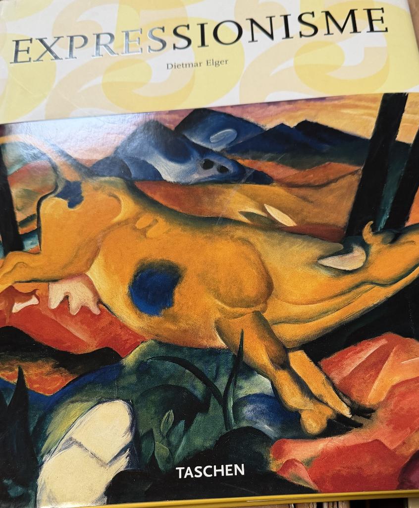 Dietmar Elger Expressionisme Taschen book, Verzenden, Zo goed als nieuw, Schilder- en Tekenkunst