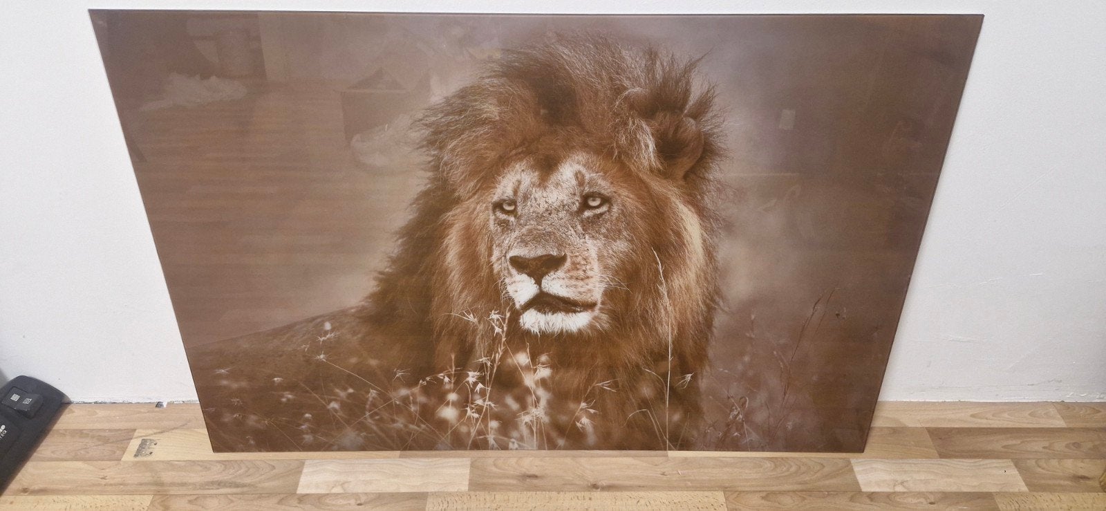 Glasschilderij Leeuw - Fotokunst op Glas - 80x120 cm, Huis en Inrichting, Ophalen, Zo goed als nieuw, 100 tot 125 cm, Foto of Poster