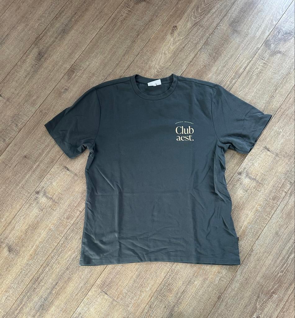 Daily Aesthetikz T-shirt L, Kleding | Heren, T-shirts, Ophalen of Verzenden, Zo goed als nieuw, Maat 52/54 (L), Grijs