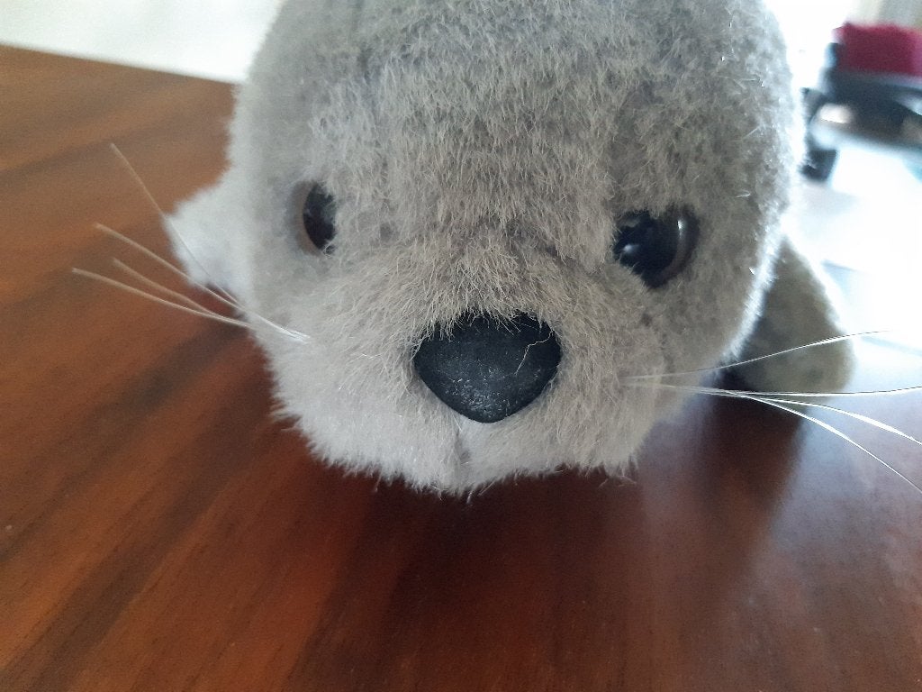 Nieuwe knuffels Beer Konijn babyZeehond ook los, Overige karakters, Beer, Nieuw, Ophalen of Verzenden