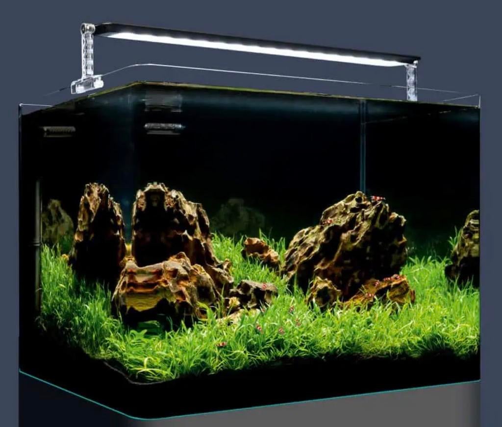 Dennerle Nano cube 35L compleet, Ophalen, Verlichting of Verwarming, Dennerle, Inclusief vissen