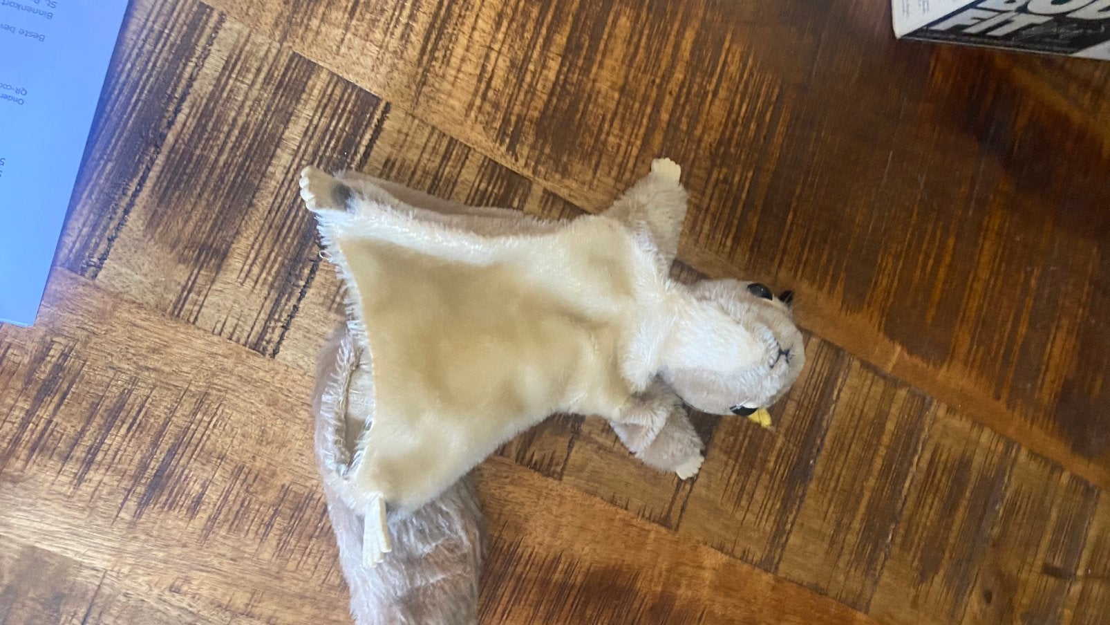 Zeldzame vintage  mohair Steiff eekhoorn handpop, Gebruikt, Ophalen of Verzenden, Middelgroot (20 tot 80 cm), Bruin
