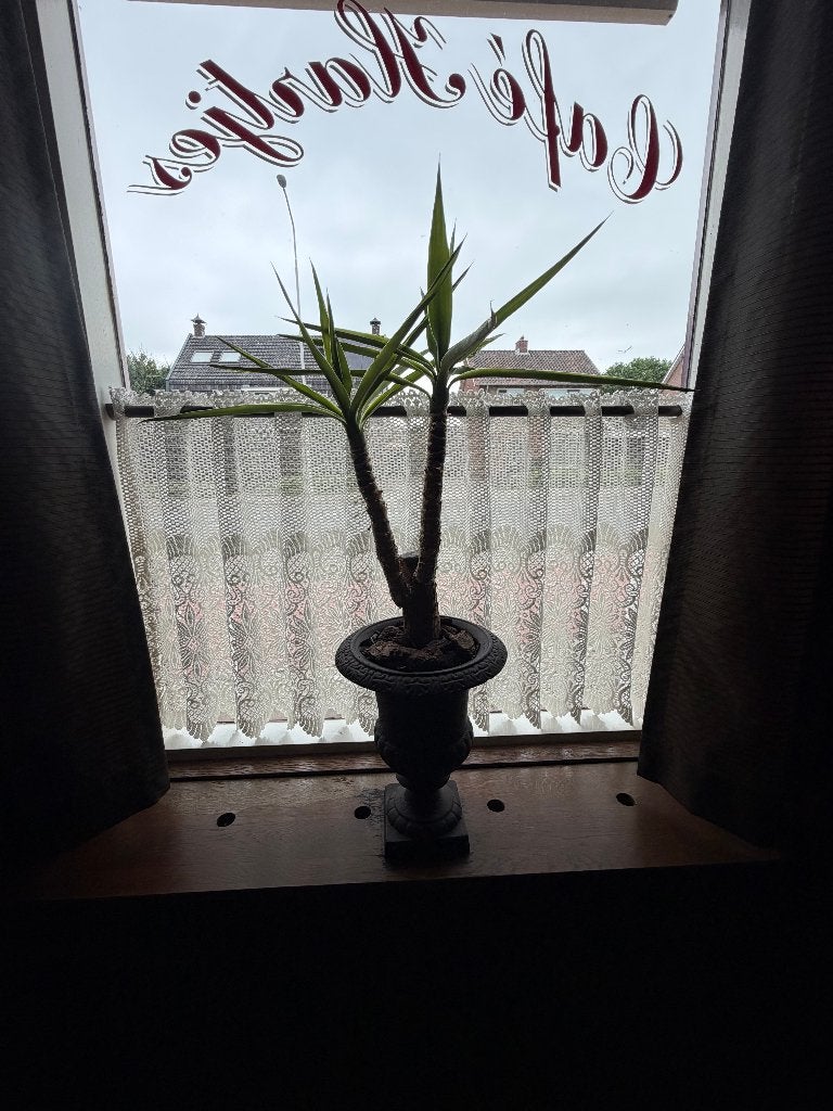 Brocate bloempotten te koop, Ophalen, Overige materialen, Gebruikt, Binnen