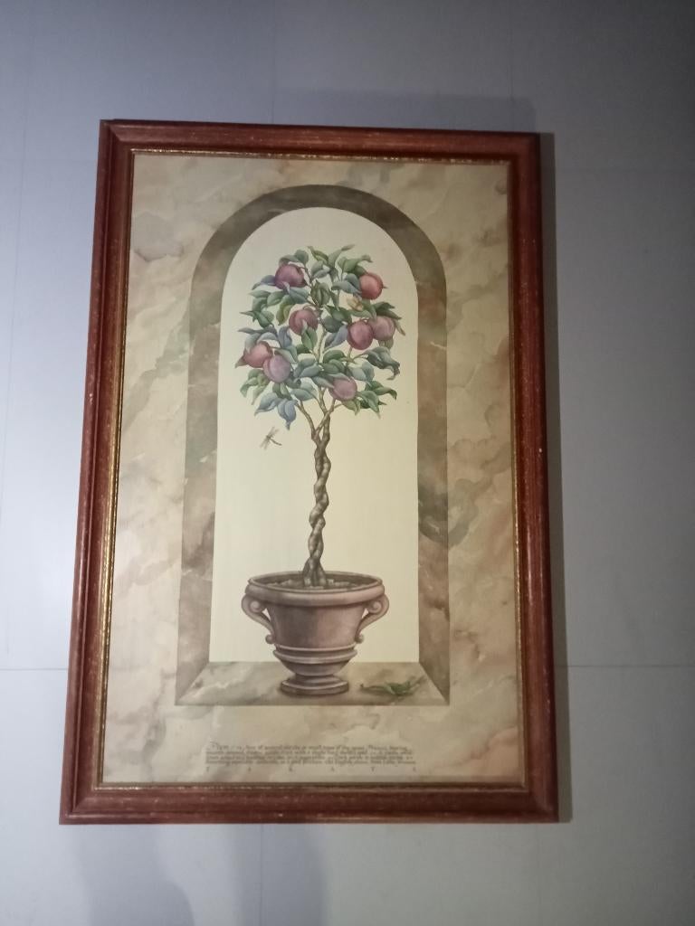 SCHILDERIJ PRUIMENBOOM IN SIERLIJKE POT TEKST HOUTEN LIJST, Ophalen, Gebruikt, Schilderij, 75 cm of meer