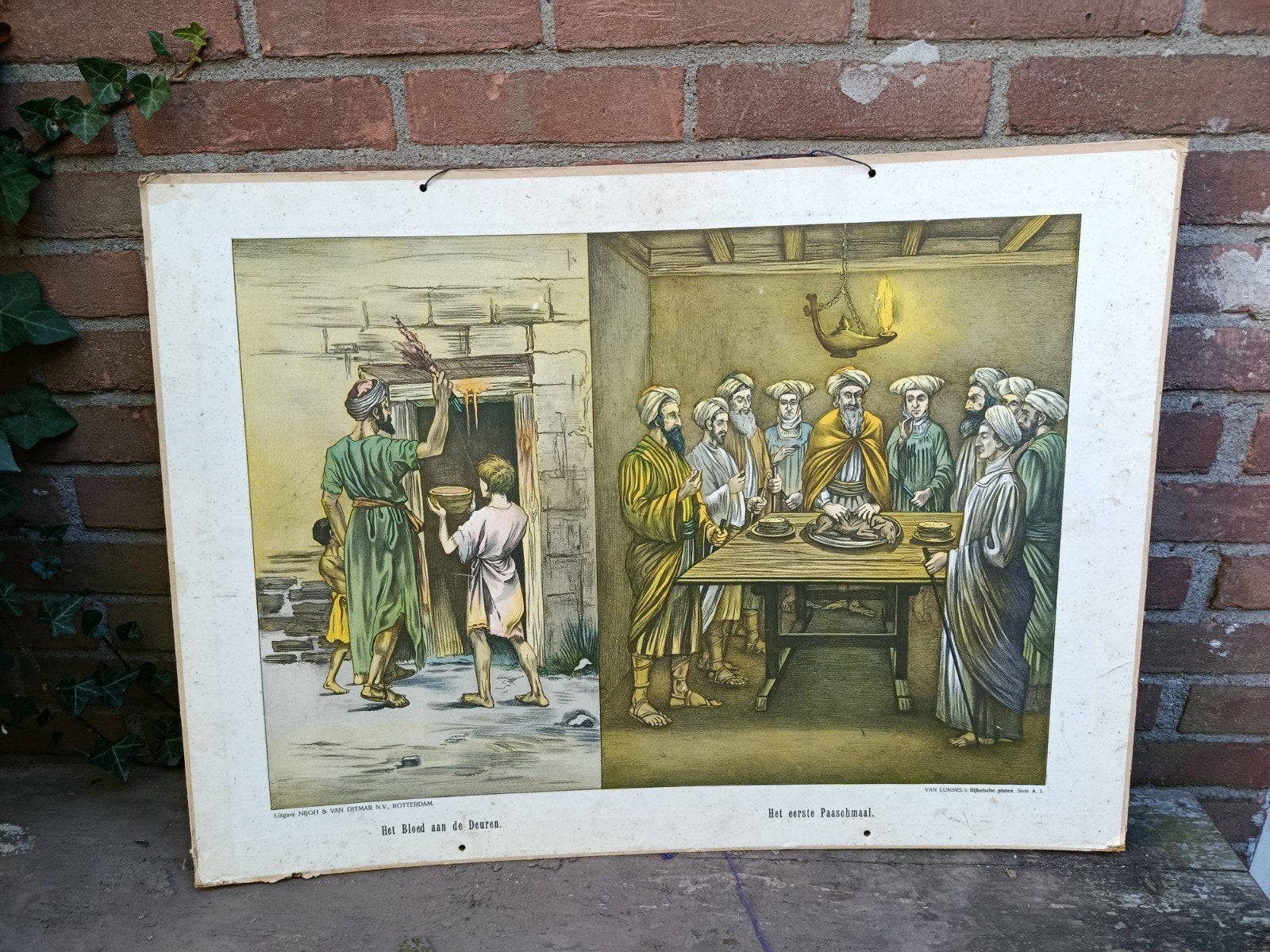 Schoolplaat op karton. Bloed aan de muur en laatste paasmaal, Antiek en Kunst, Ophalen of Verzenden, Natuur en Biologie
