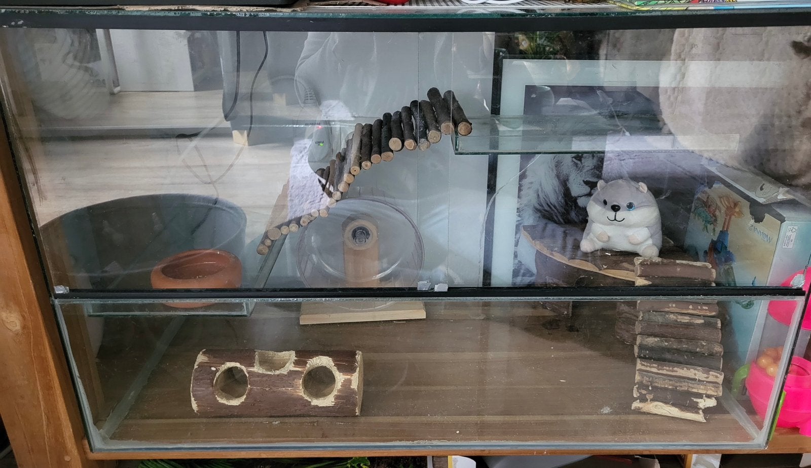 Terrarium voot knaagdier 80x40x50, Dieren en Toebehoren, Knaagdieren en Konijnen | Hokken en Kooien, Gebruikt, Overige typen, 75 tot 110 cm