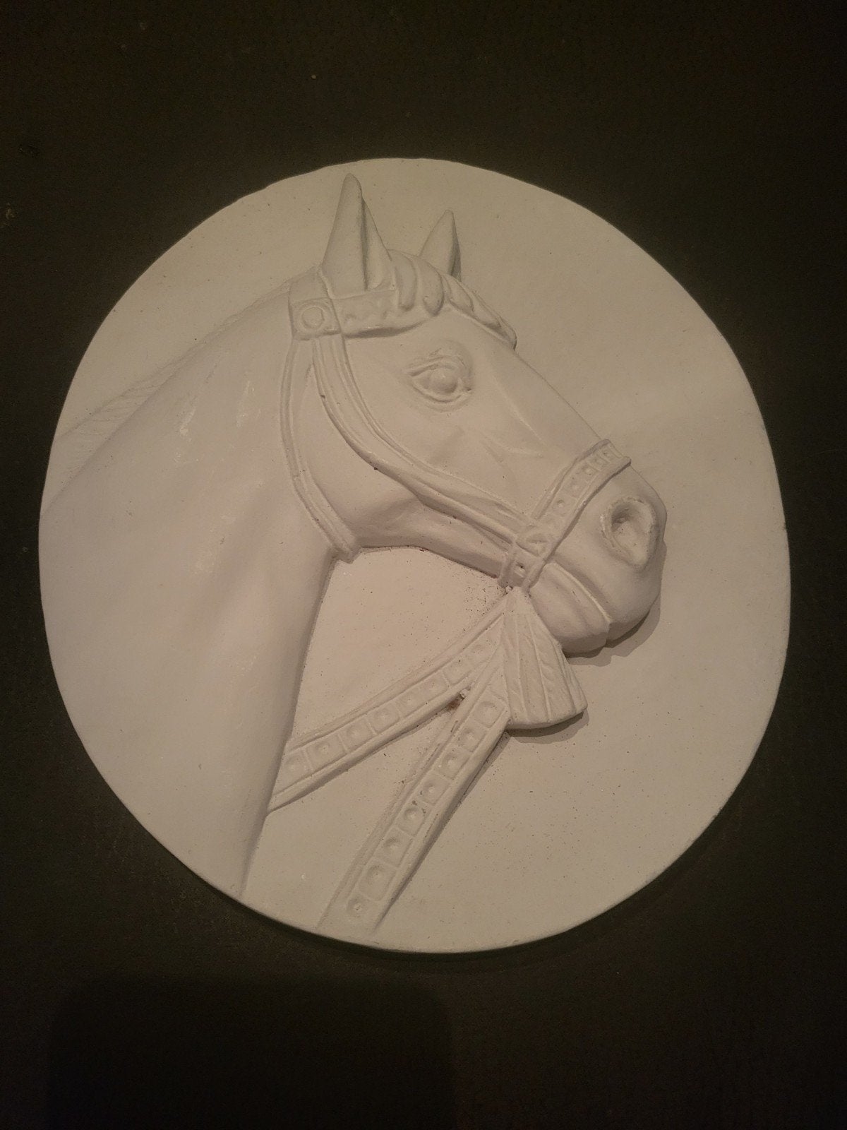 Gipsafdruk paardenhoofd - kunst paard / paardendecoratie, Huis en Inrichting, Woonaccessoires | Wanddecoraties, Ophalen, Zo goed als nieuw