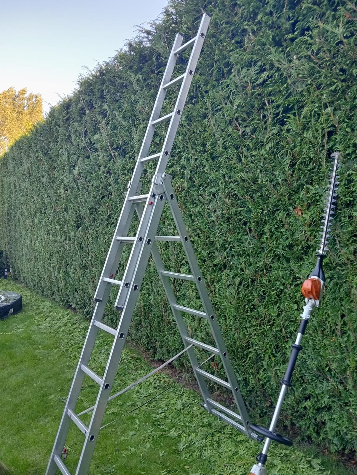 Tuinman/ Hovenier, Tuin en Terras, Ophalen of Verzenden, Nieuw, 20 m² of meer
