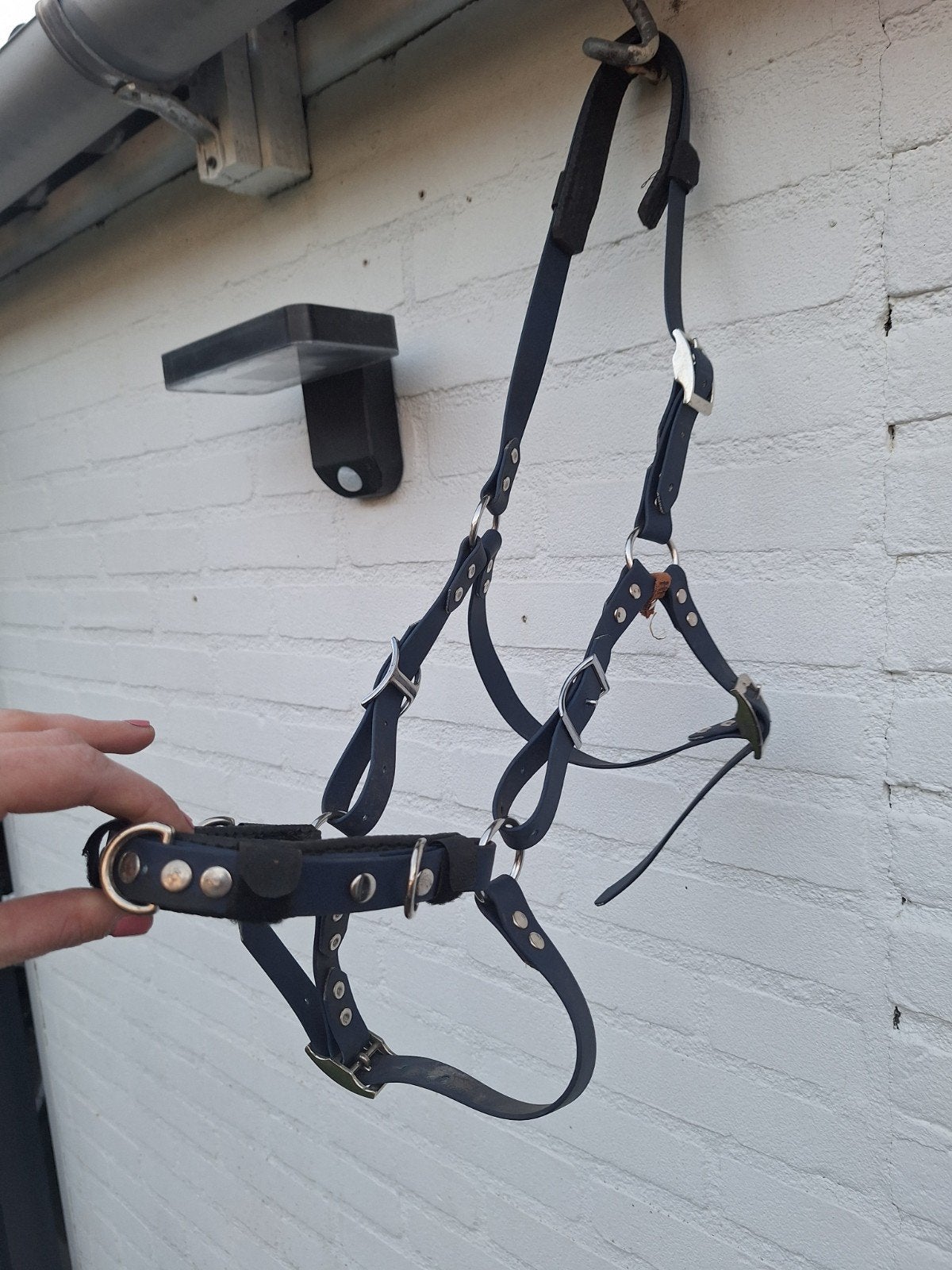 Biothane Kaptoom Paard, Dieren en Toebehoren, Ophalen of Verzenden
