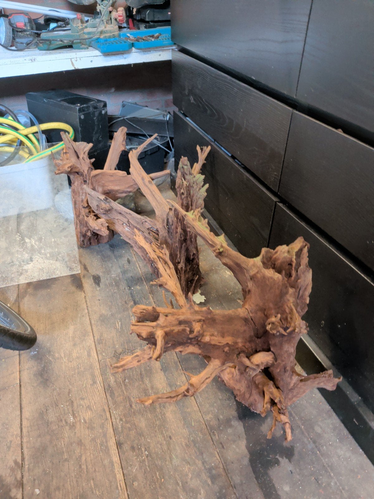 3 grote stukken mangrove hout, Vis