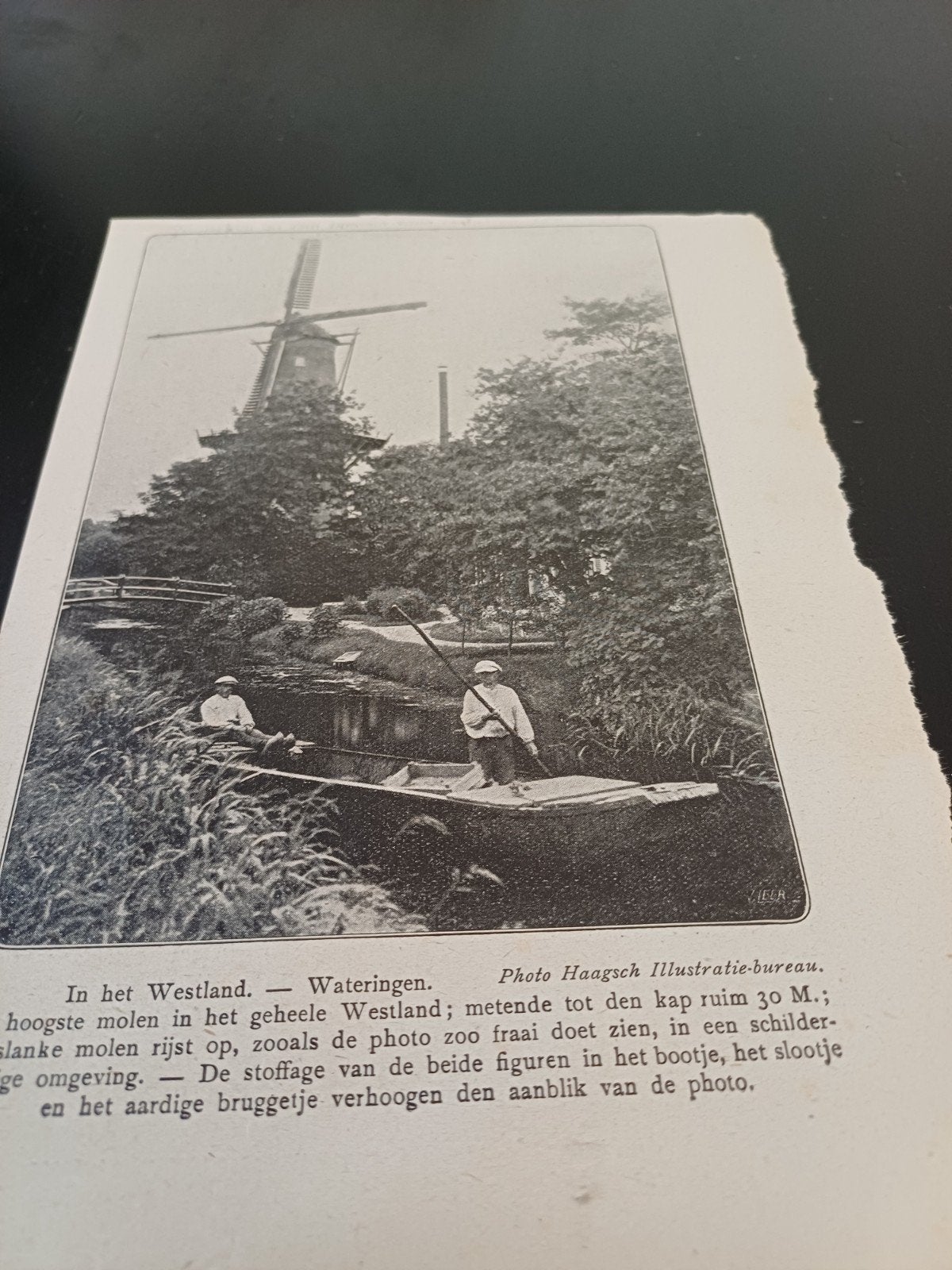 knipsel Wateringen  molen 1920, Ophalen of Verzenden, 1920 tot 1940, Knipsel(s)