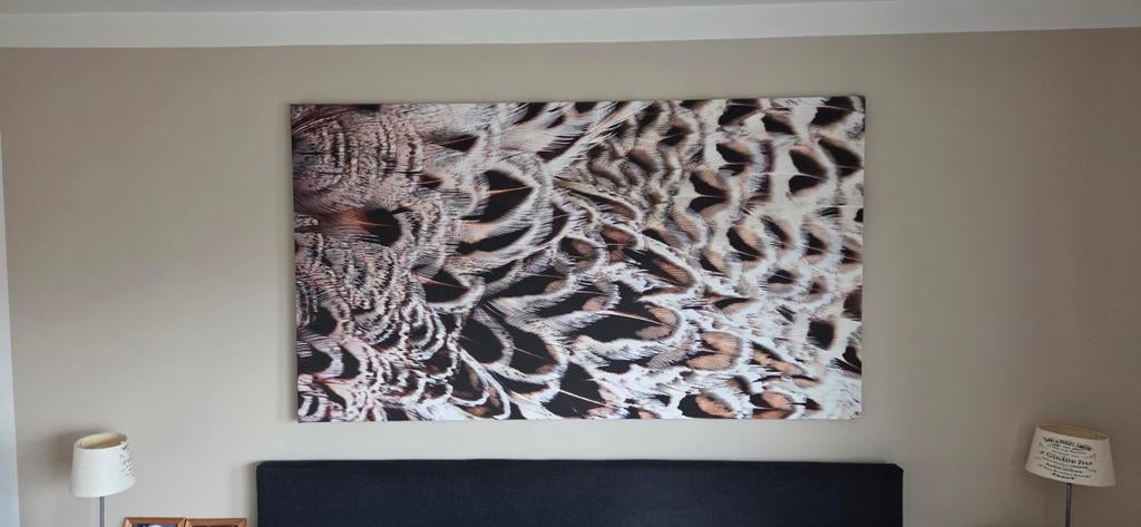 Close-up Fazant Canvas - 120x90 cm, Ophalen, Zo goed als nieuw, 100 tot 125 cm, Print