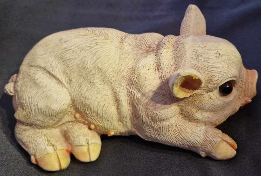 Varken 18cm x 10cm, Ophalen of Verzenden, Nieuw, Dier