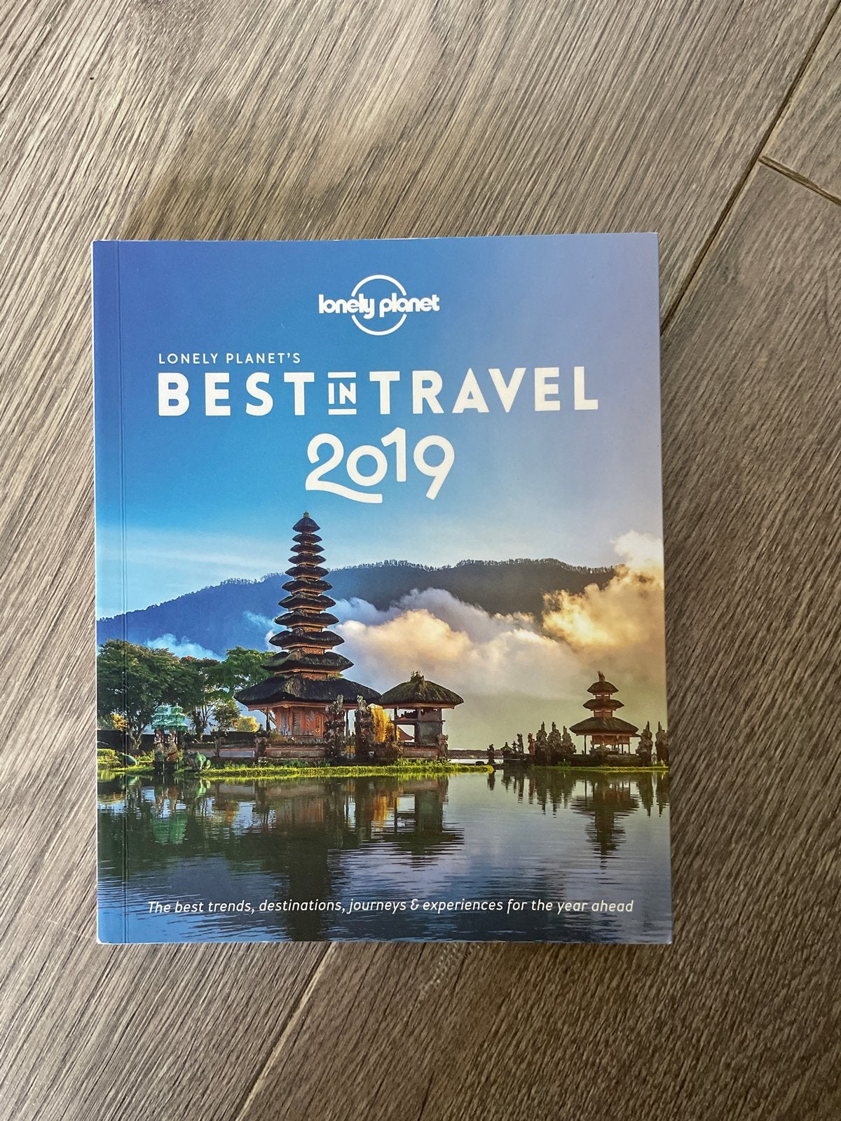 Lonely Planet's Best in Travel 2019, Boeken, Reisgidsen, Lonely Planet, Europa, Ophalen of Verzenden, Zo goed als nieuw