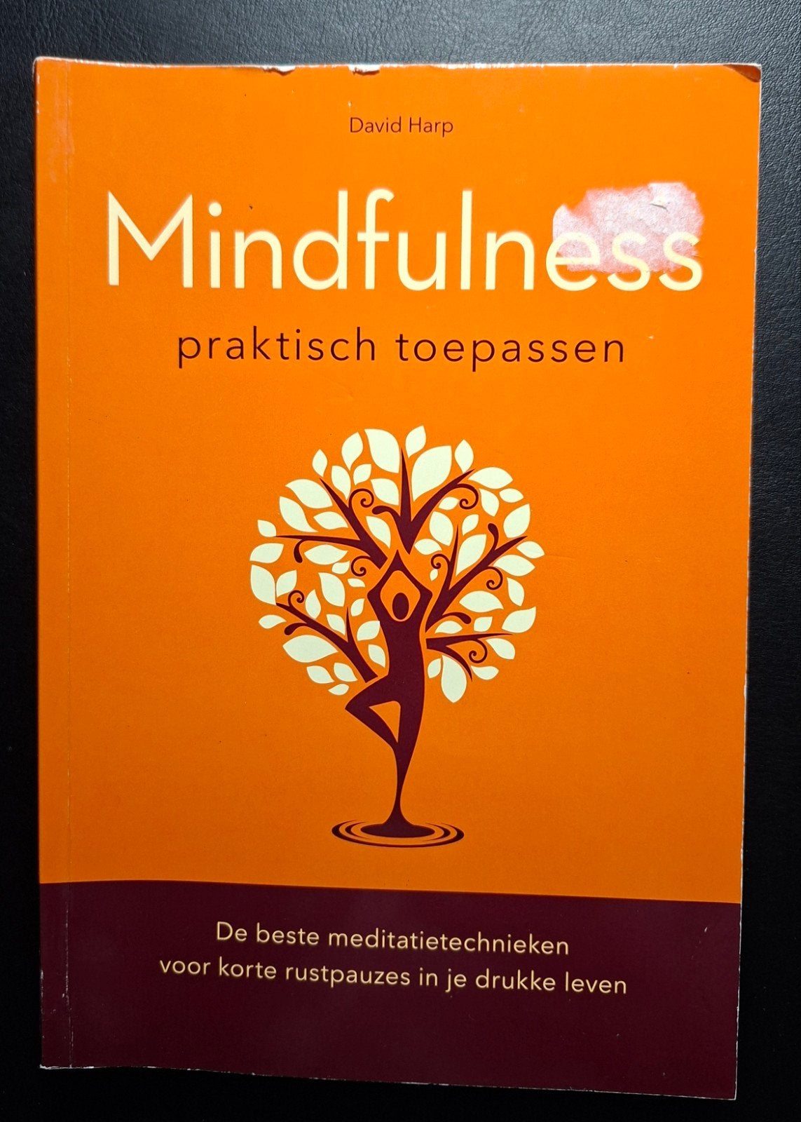 Mindfulness - David Harp, Ophalen of Verzenden, Gelezen, Overige typen