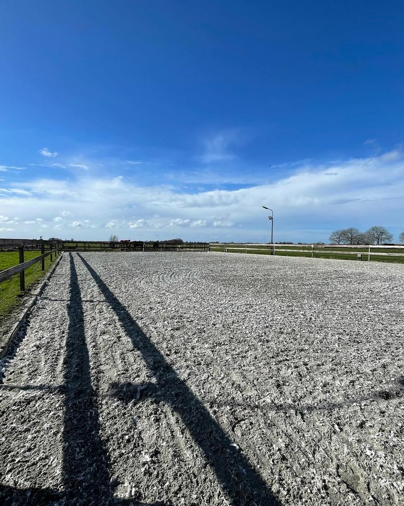 Pensionstal beschikbaar Bodegraven, Dieren en Toebehoren, Stalling en Weidegang, Stalling, Weidegang, Toebehoren, 1 paard of pony