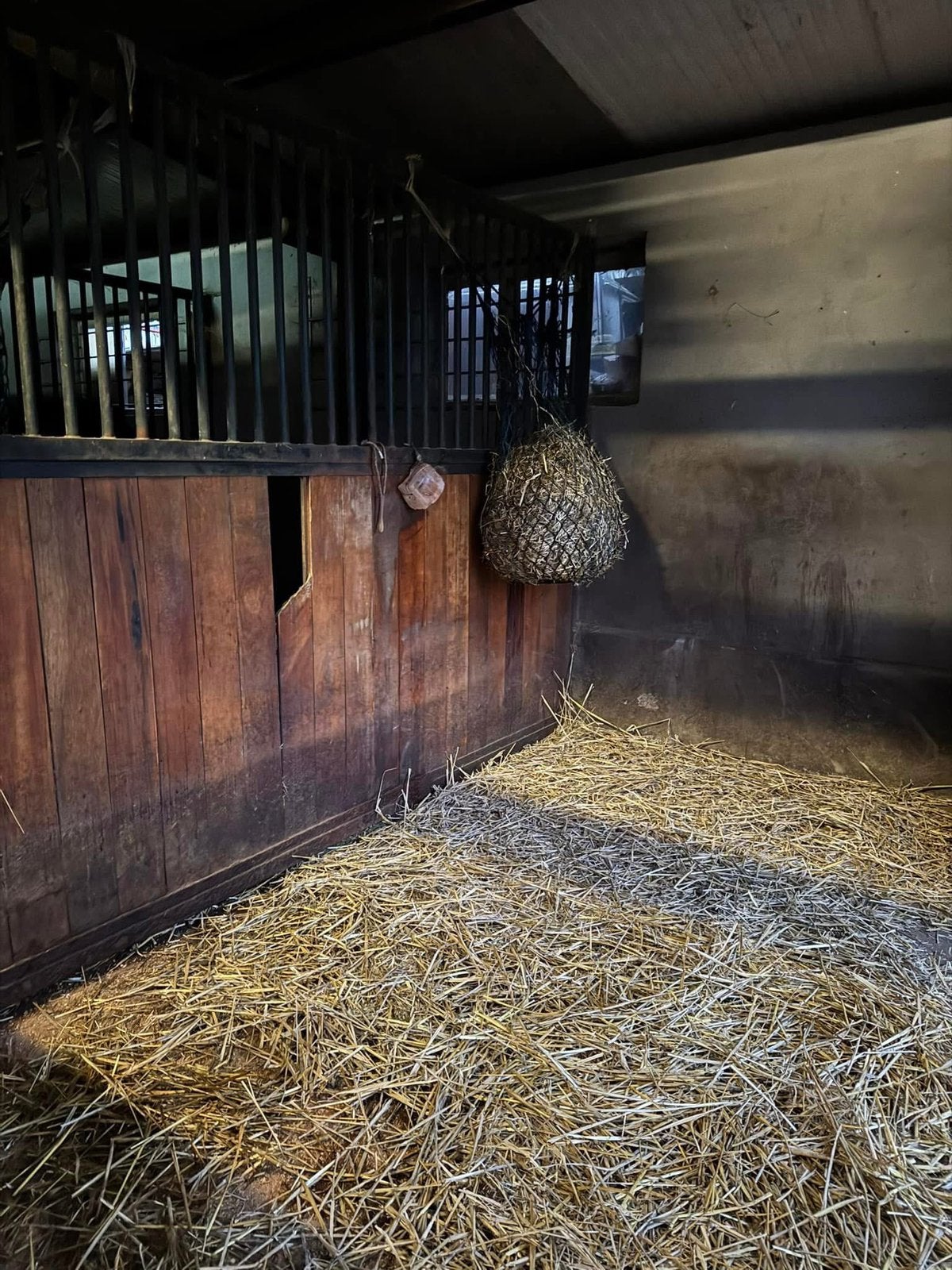 Paarden box te huur ( Stein ), Dieren en Toebehoren, Stalling, 1 paard of pony