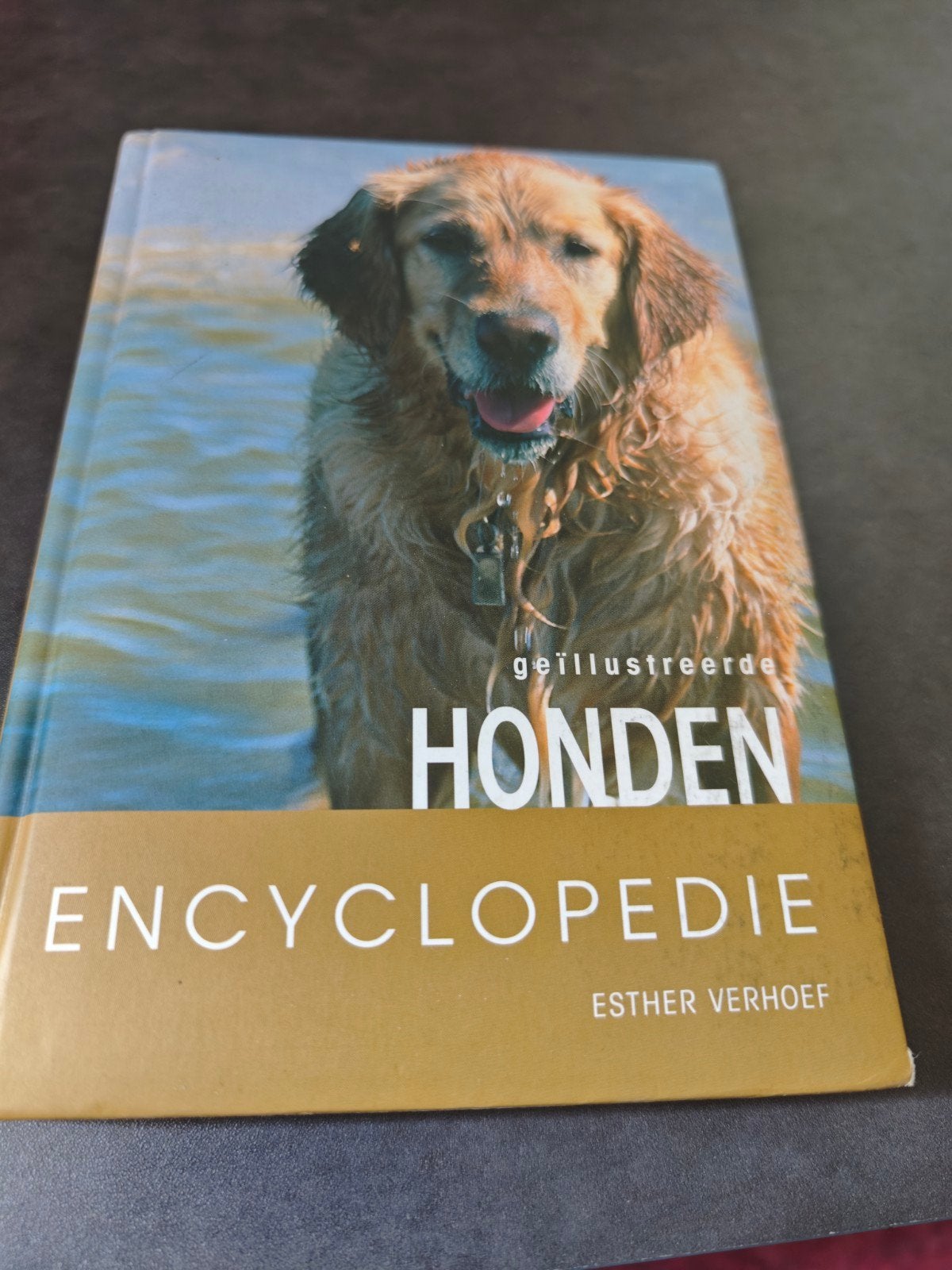 Geïllustreerde Honden Encyclopedie - Esther Verhoef, Ophalen of Verzenden, Zo goed als nieuw, Los deel, Dieren