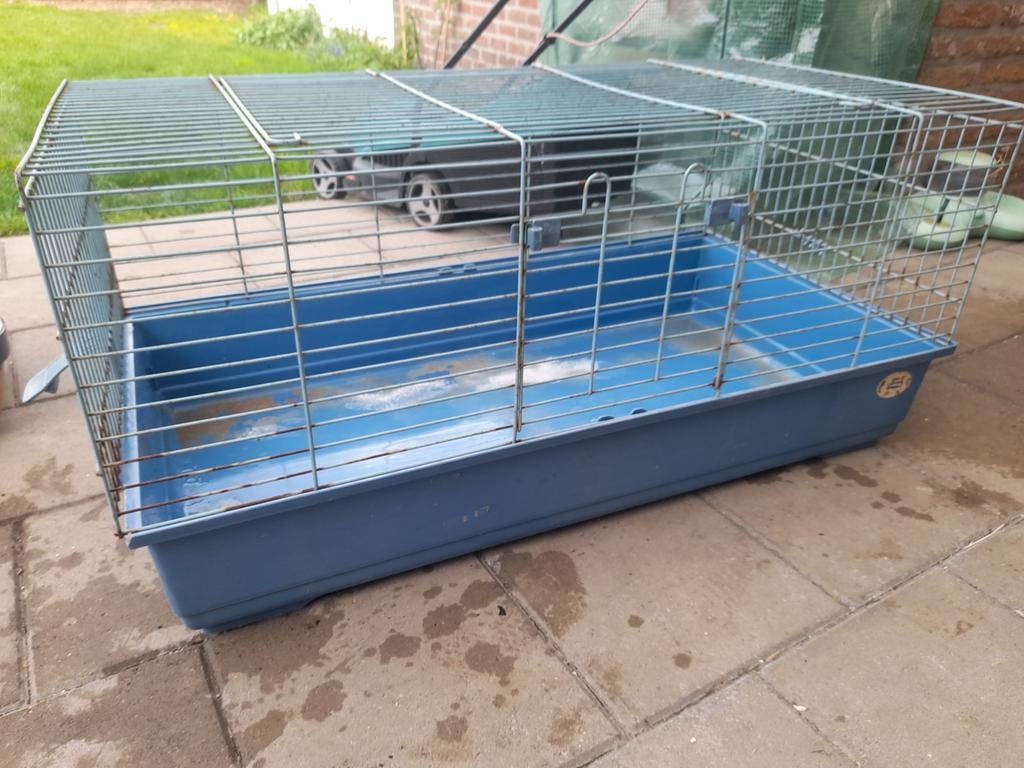 Binnenhok voor knaagdieren, Ophalen, Kooi, Gebruikt, 60 tot 90 cm